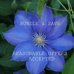 Reasonable offers accepted!!